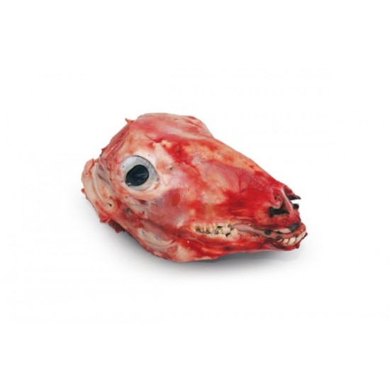 Κεφαλάκι Αρνίσιο Γάλακτος Ντόπιο